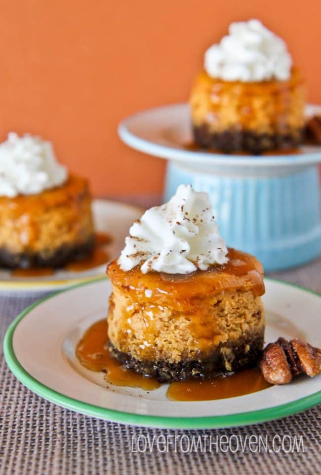 Mini Pumpkin Cheesecakes With Gingersnap Crust • Love From The Oven