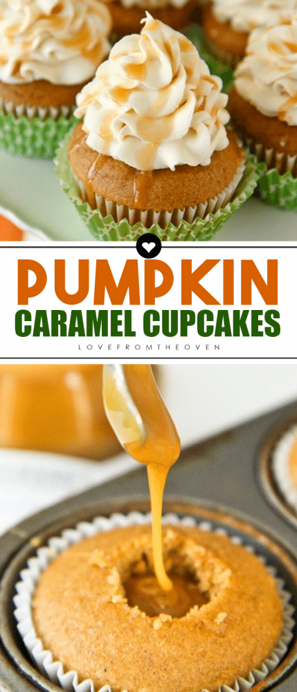 Pumpkin Cupcakes • Love From The Oven