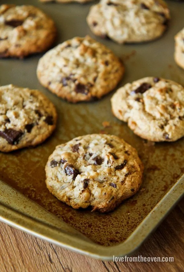 https://www.lovefromtheoven.com/wp-content/uploads/2014/09/Chocolate-Chip-Graham-Cracker-Cookies-0685.webp