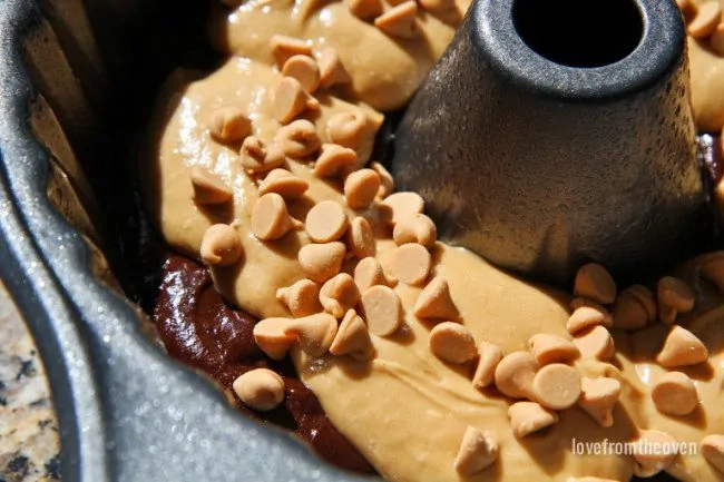 Chocolate Peanut Butter Swirl Bundt Cake