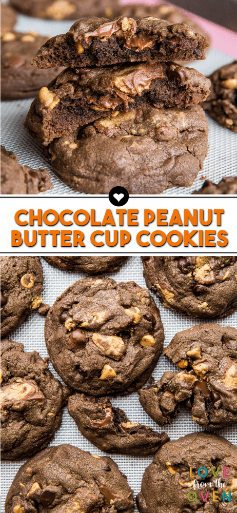 Chocolate Peanut Butter Cookies - Love From The Oven