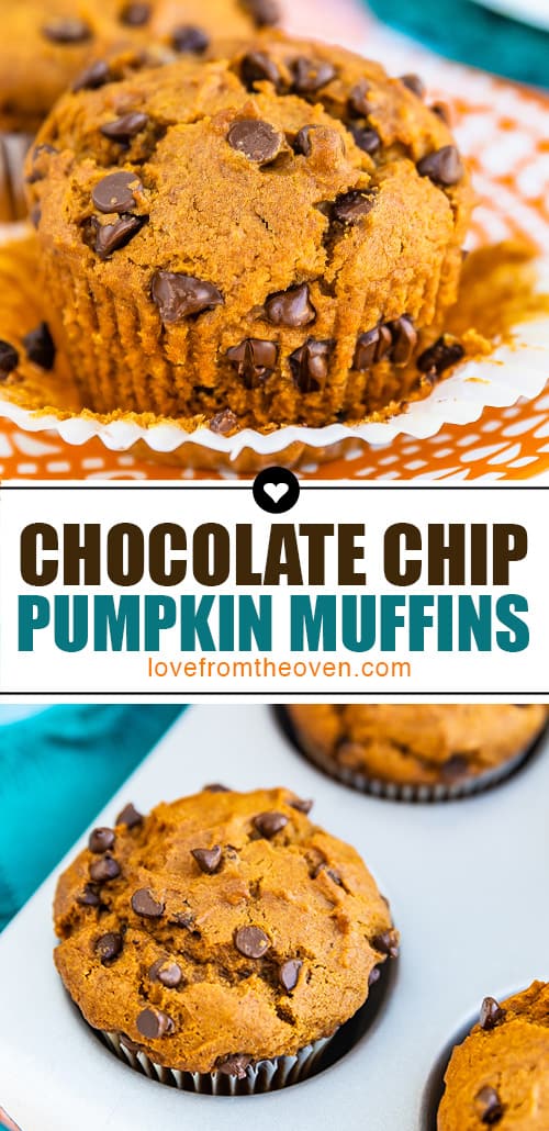 Easy Vegan Chocolate Chip Pumpkin Muffins • Love From The Oven