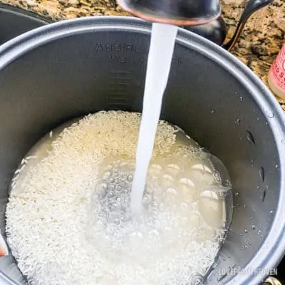 Did you know your Aroma rice cooker isn't just for rice? Whip up a