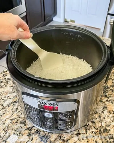 Easy Way to Clean an Aroma Rice Cooker - No Getting Off This Train
