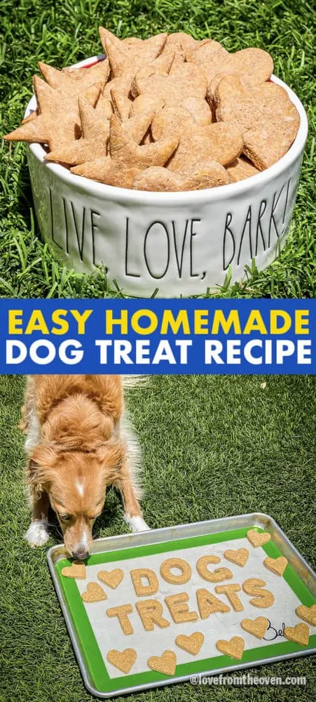 Homemade Peanut Butter Dog Treats Your Pet Will Love! - Thrifty Jinxy