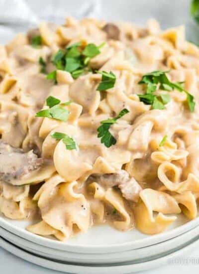 Beef stroganoff on a plate