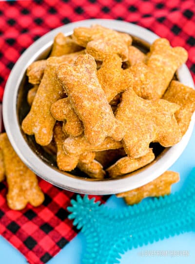 Easy Pumpkin Dog Treats • Love From The Oven