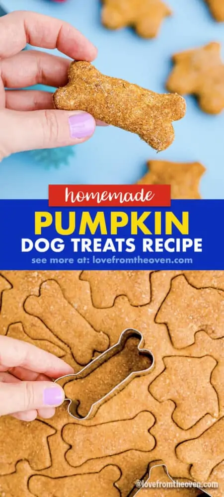 how long do homemade pumpkin dog treats last