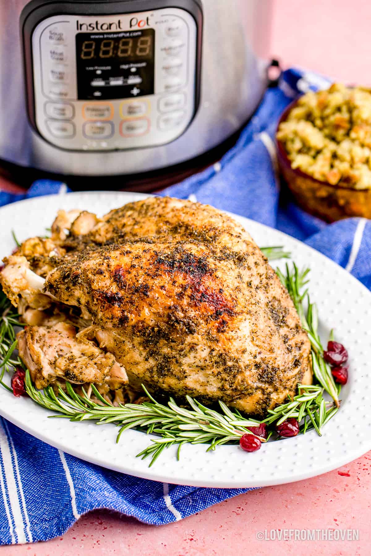 Instant pot best sale small turkey