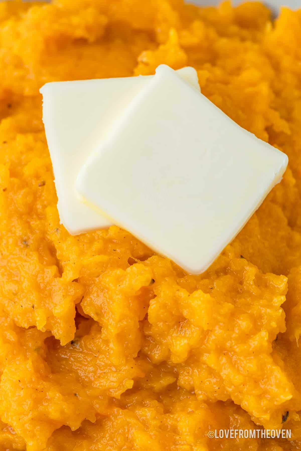 Mashed Butternut Squash • Love From The Oven