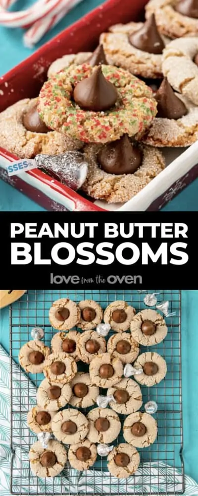 https://www.lovefromtheoven.com/wp-content/uploads/2021/10/peanut-butter-blossoms-recipe-400x1000.webp