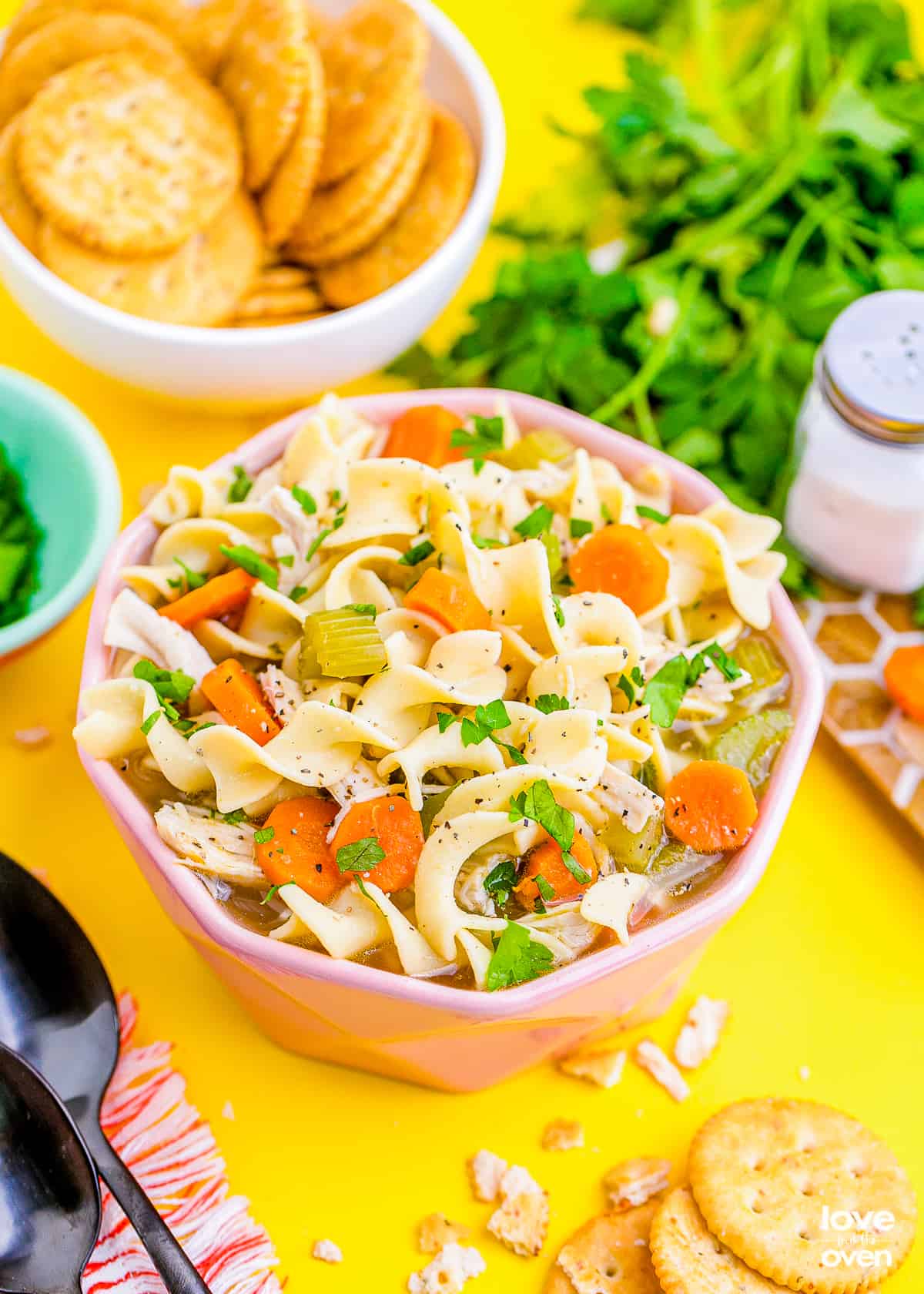 https://www.lovefromtheoven.com/wp-content/uploads/2022/01/instant-pot-chicken-noodle-soup-47.jpg