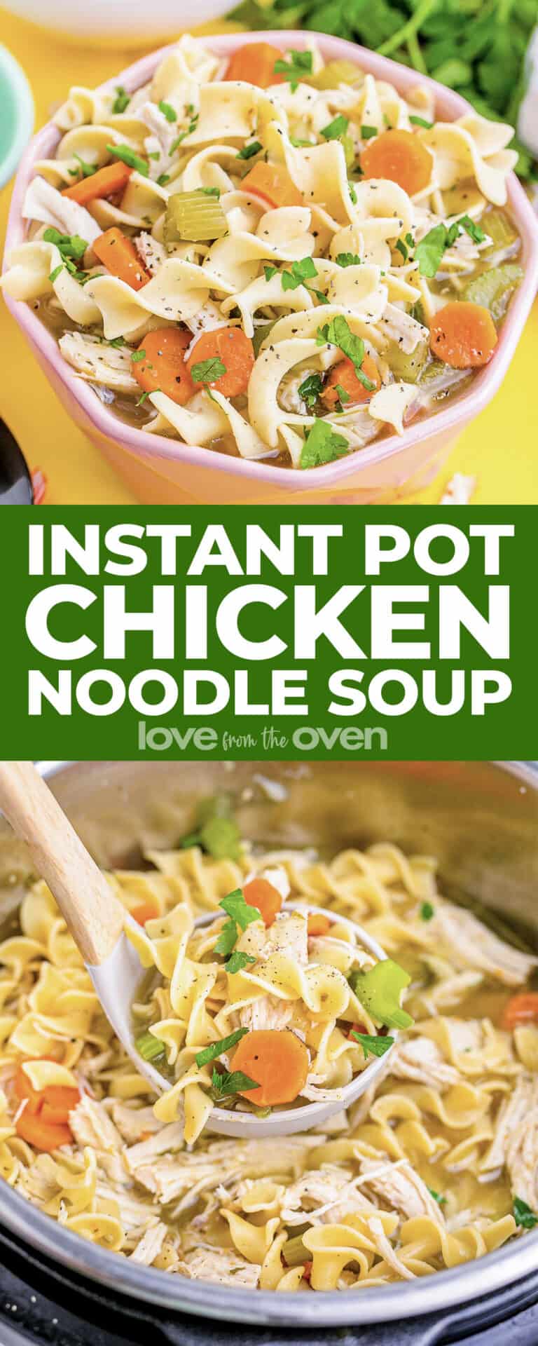 Instant Pot Chicken Soup • Love From The Oven