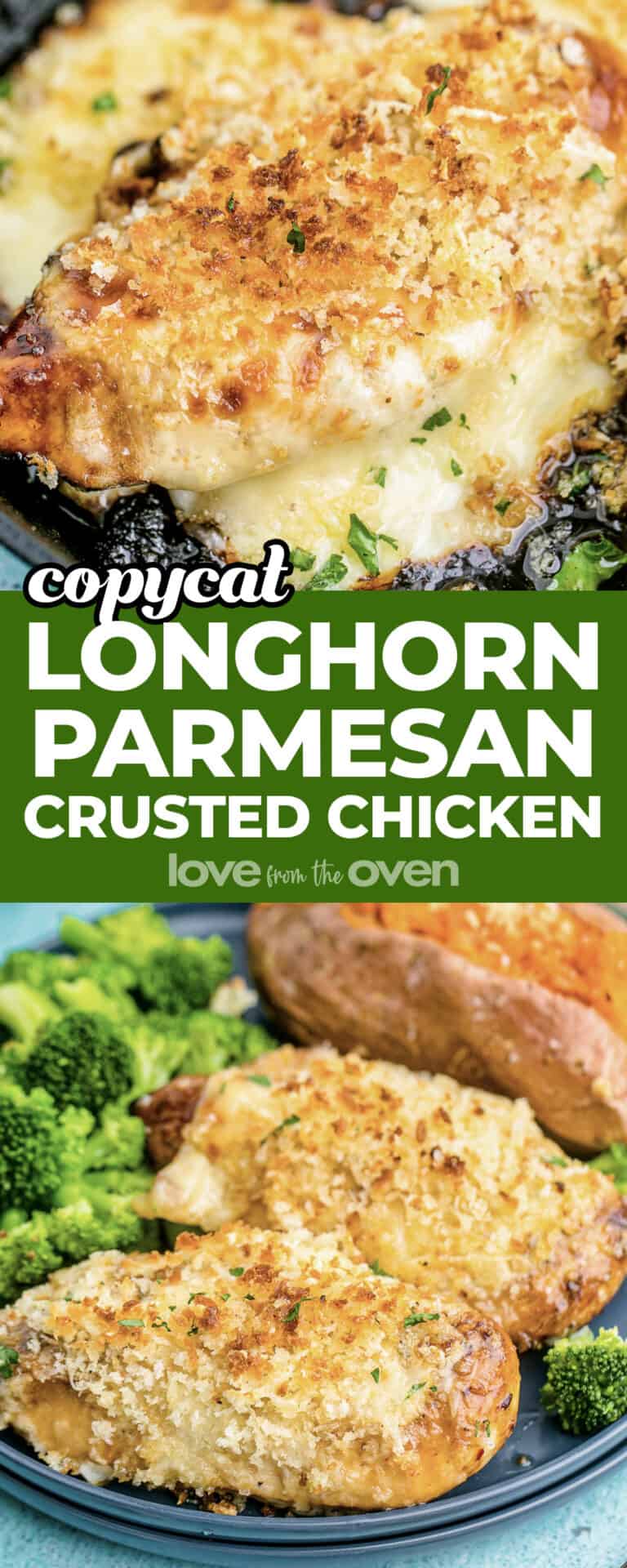 Longhorn Parmesan Crusted Chicken • Love From The Oven 5430