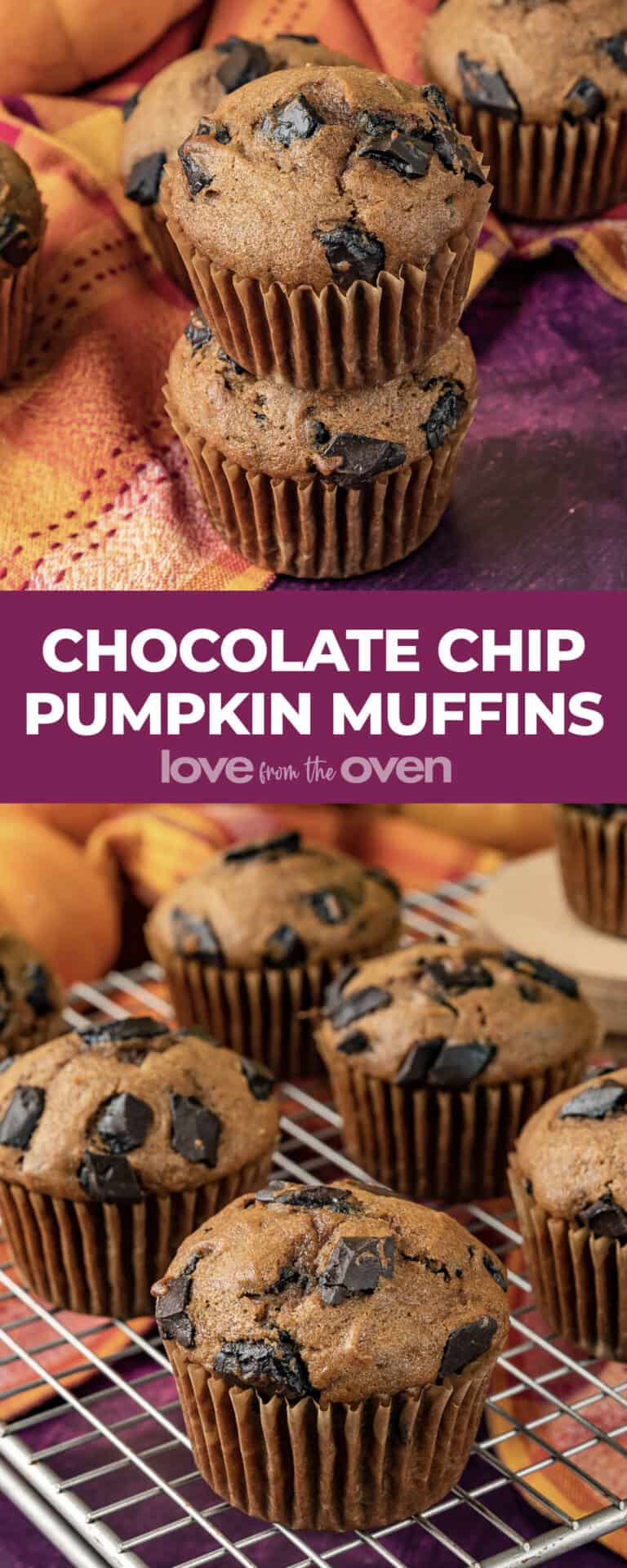 Chocolate Chip Pumpkin Muffins • Love From The Oven