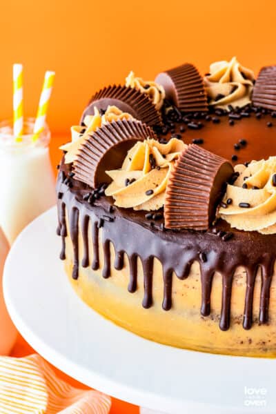 Chocolate Peanut Butter Cake • Love From The Oven