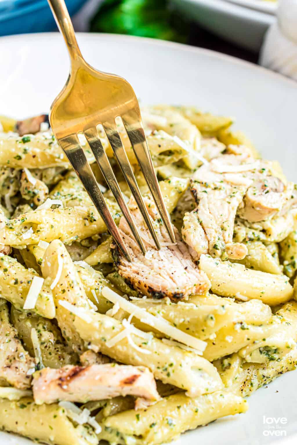 Creamy Chicken Pesto Pasta • Love From The Oven