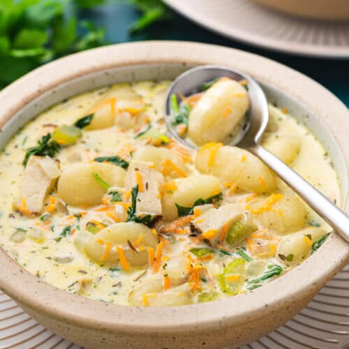 Chicken Gnocchi Soup • Love From The Oven