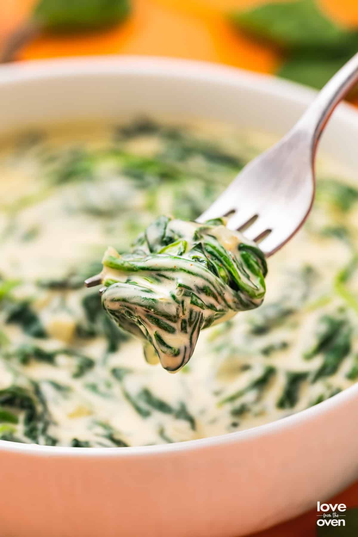 a fork holding a bite of creamed spinach